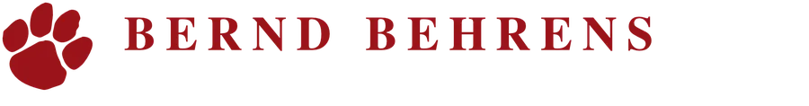 Bernd Behrens – automotive consultant